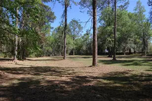 27471 NW 173rd Terrace, Alachua, FL 32615 - Photo 45