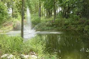 27471 NW 173rd Terrace, Alachua, FL 32615 - Photo 35