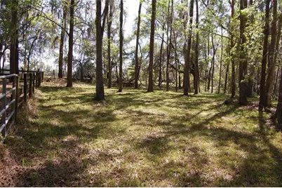 27471 NW 173rd Terrace, Alachua, FL 32615 - Photo 49