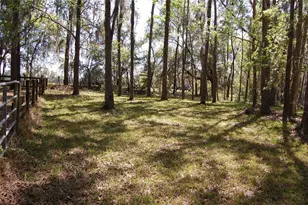 27471 NW 173rd Terrace, Alachua, FL 32615 - Photo 49