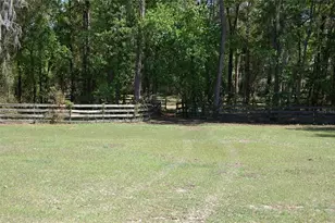 27471 NW 173rd Terrace, Alachua, FL 32615 - Photo 43