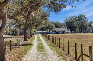 9115 NW 170th St, Alachua, FL 32615 - Photo 3