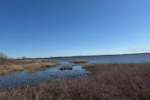 155th Way, Starke, FL 32091 - Photo 29