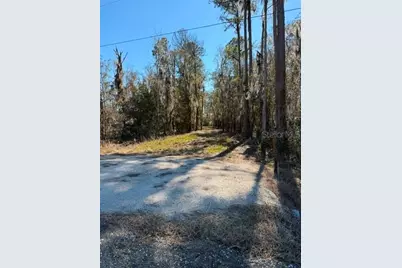 155th Way, Starke, FL 32091 - Photo 21
