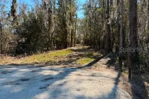 155th Way, Starke, FL 32091 - Photo 21