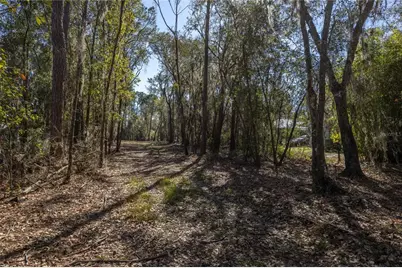 155th Way, Starke, FL 32091 - Photo 5