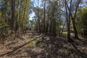 155th Way, Starke, FL 32091 - Photo 5