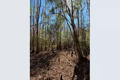 155th Way, Starke, FL 32091 - Photo 27