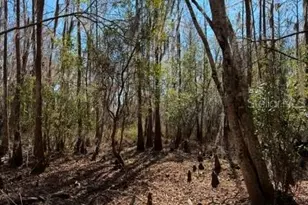 155th Way, Starke, FL 32091 - Photo 27