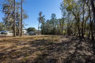 155th Way, Starke, FL 32091 - Photo 7