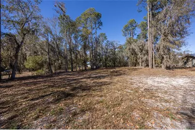 155th Way, Starke, FL 32091 - Photo 9