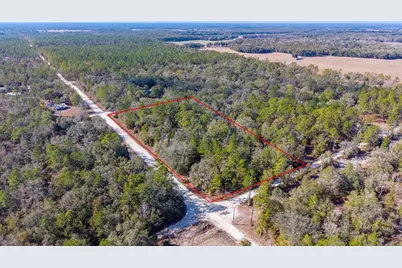 65 NW 10th Avenue, Bell, FL 32619 - Photo 1