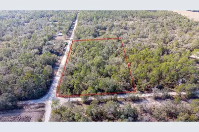 65 NW 10th Avenue, Bell, FL 32619 - Photo 3