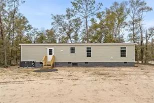 7591 NE 90 Ave, Bronson, FL 32621 - Photo 5