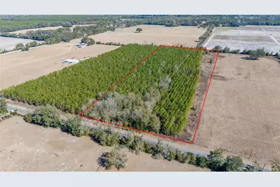 002 NW 10th Avenue, Trenton, FL 32693 - Photo 3