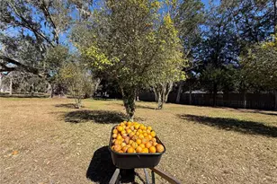 2039 SW State Road 26, Trenton, FL 32693 - Photo 95