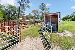 1208 N County Road 315, Melrose, FL 32666 - Photo 55