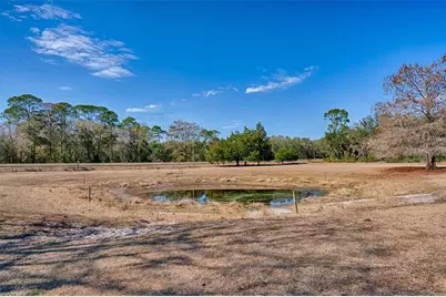 1208 N County Road 315, Melrose, FL 32666 - Photo 49