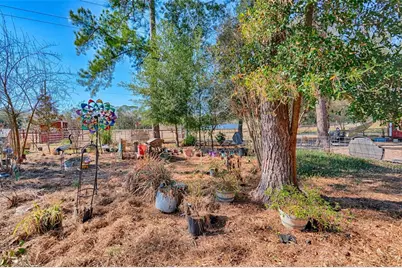 1208 N County Road 315, Melrose, FL 32666 - Photo 45