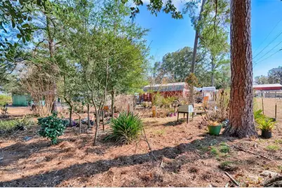 1208 N County Road 315, Melrose, FL 32666 - Photo 43
