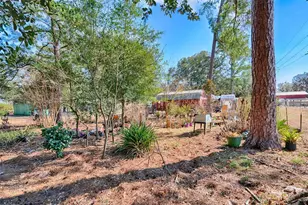 1208 N County Road 315, Melrose, FL 32666 - Photo 43