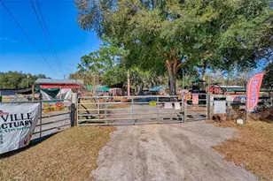 1208 N County Road 315, Melrose, FL 32666 - Photo 47
