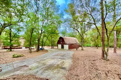 141 Tucker Lake Road, Melrose, FL 32666 - Photo 19