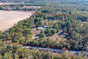 6247 NW 35th St, Bell, FL 32619 - Photo 45