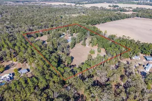 6247 NW 35th St, Bell, FL 32619 - Photo 43