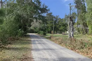 21315 NE 35th Pl, Hawthorne, FL 32640 - Photo 41