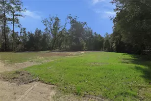 21315 NE 35th Pl, Hawthorne, FL 32640 - Photo 5