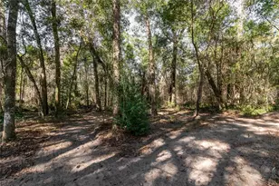 5306 NE 255th Dr, Melrose, FL 32666 - Photo 31