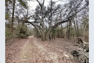 7875 SW County Road 344, Bell, FL 32619 - Photo 1