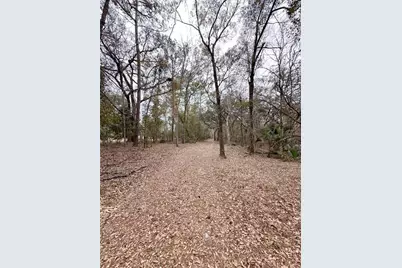 7875 SW County Road 344, Bell, FL 32619 - Photo 3