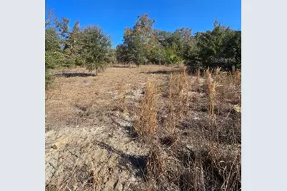 79th Lane, Trenton, FL 32693 - Photo 7