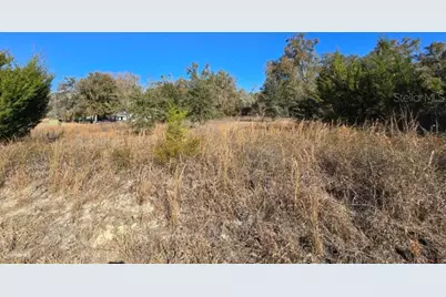 79th Lane, Trenton, FL 32693 - Photo 5