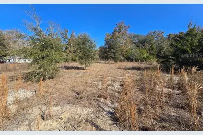 79th Lane, Trenton, FL 32693 - Photo 3