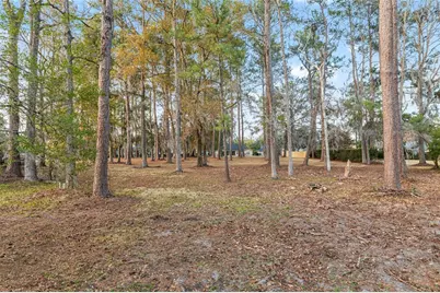 11827 NW 71st Terrace, Alachua, FL 32615 - Photo 77