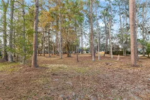 11827 NW 71st Terrace, Alachua, FL 32615 - Photo 77