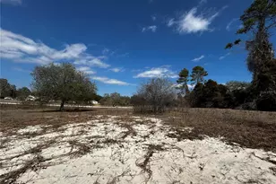 5387 SE 36th St, Trenton, FL 32693 - Photo 5