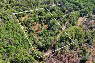 998 SW Spruce Rd, Fort White, FL 32038 - Photo 27