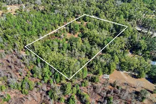 998 SW Spruce Rd, Fort White, FL 32038 - Photo 25