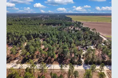 Tbd 00 SE 6th Lane, Williston, FL 32696 - Photo 3