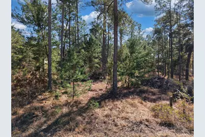 Tbd 00 SE 6th Lane, Williston, FL 32696 - Photo 9