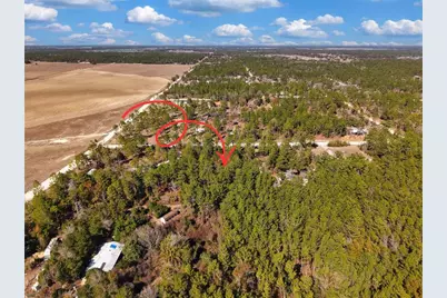 Tbd 00 SE 6th Lane, Williston, FL 32696 - Photo 15