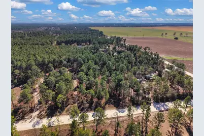 Tbd 00 SE 6th Lane, Williston, FL 32696 - Photo 5