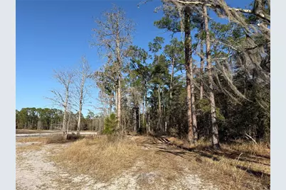 000 NE 126 Street, Bronson, FL 32621 - Photo 17