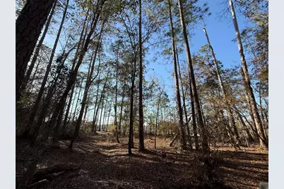 000 NE 126 Street, Bronson, FL 32621 - Photo 3