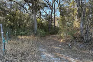 0 NE 126 St, Bronson, FL 32621 - Photo 1