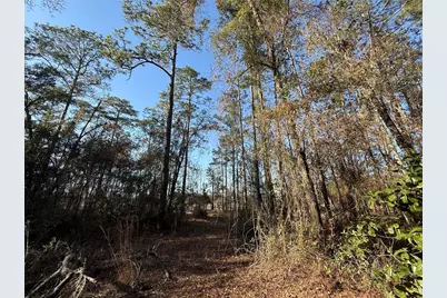 0 NE 126 Street, Bronson, FL 32621 - Photo 5
